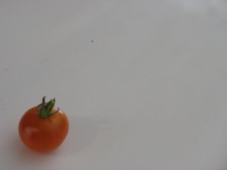 rebel tomato