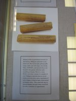 mangyan bamboo texts