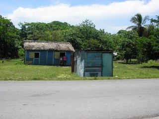 La selva que rodea Higüey, en el extremo oriental de la Hispaniola está repleta de casas de madera y chapa... su precariedad hace que sus habitantes sean los primeros en sufrir las consecuencias de las lluvias tropicales