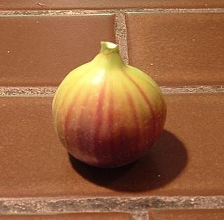 the fig prior to consumption