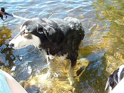 Lola goes swimming