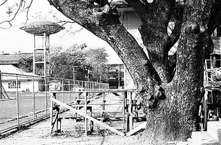 Partial, natural frame; Rizal High School 1991; photo by Atty. Galacio
