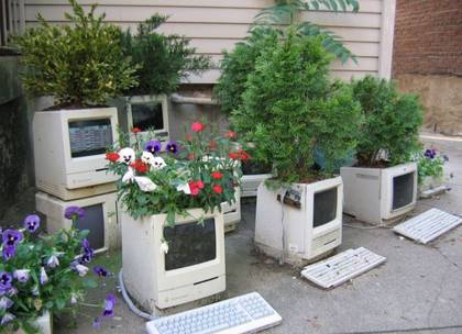 Computer Forest picture