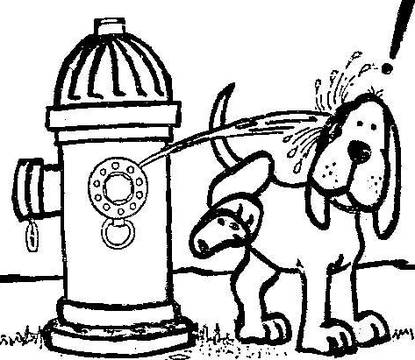 Fire hydrant revenge on dogs