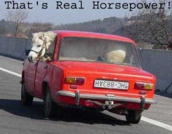 the real horse-power