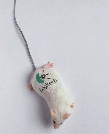 Funny Logitech Mouse