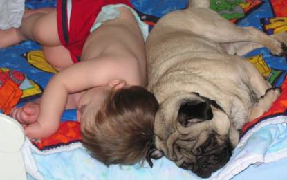 Funny sleeping dog and child