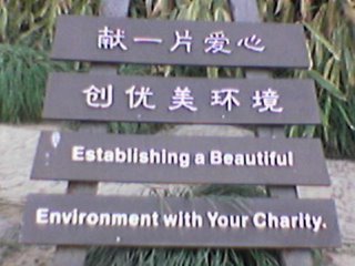 Establishing a Beautiful Environment with Your Charity