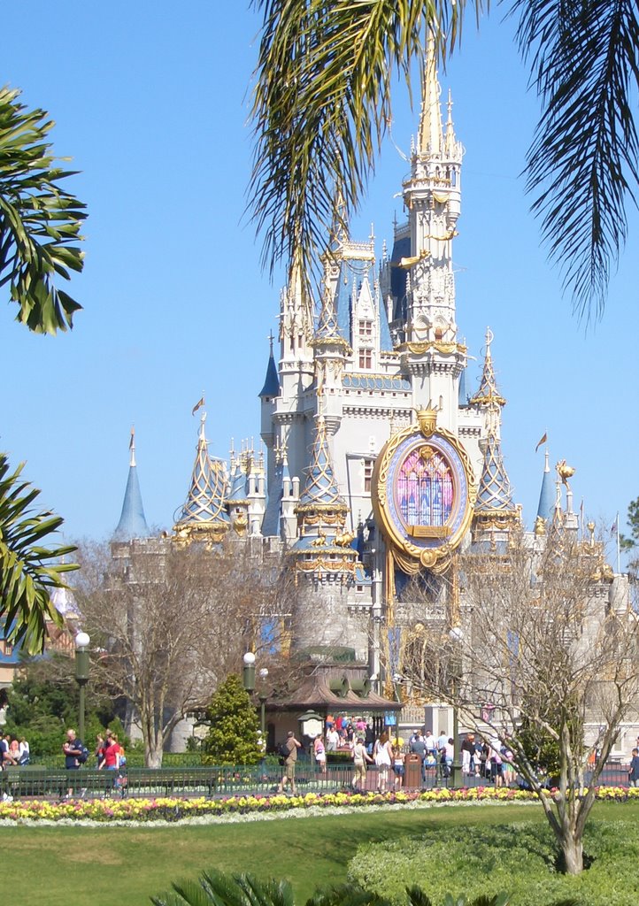 Live Streaming Cam Disney World Vacation Photo & Video