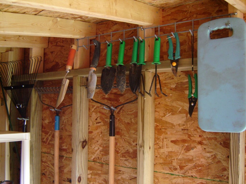 a little bit crazy: How To Build a Backyard Shed (in 12 easy steps)