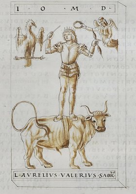 man standing on the back of a bull