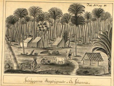 Sketch of jungle at Surat - Swedish East India Company