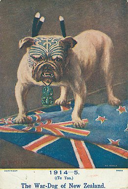 maori bulldog
