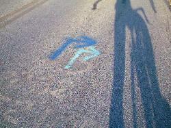 Which Way?