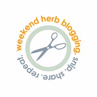 Weekend Herb Blogging Recaps:  Second Year