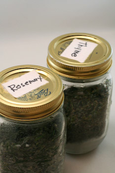 How to Freeze Fresh Herbs:  Rosemary and Thyme found on KalynsKitchen.com