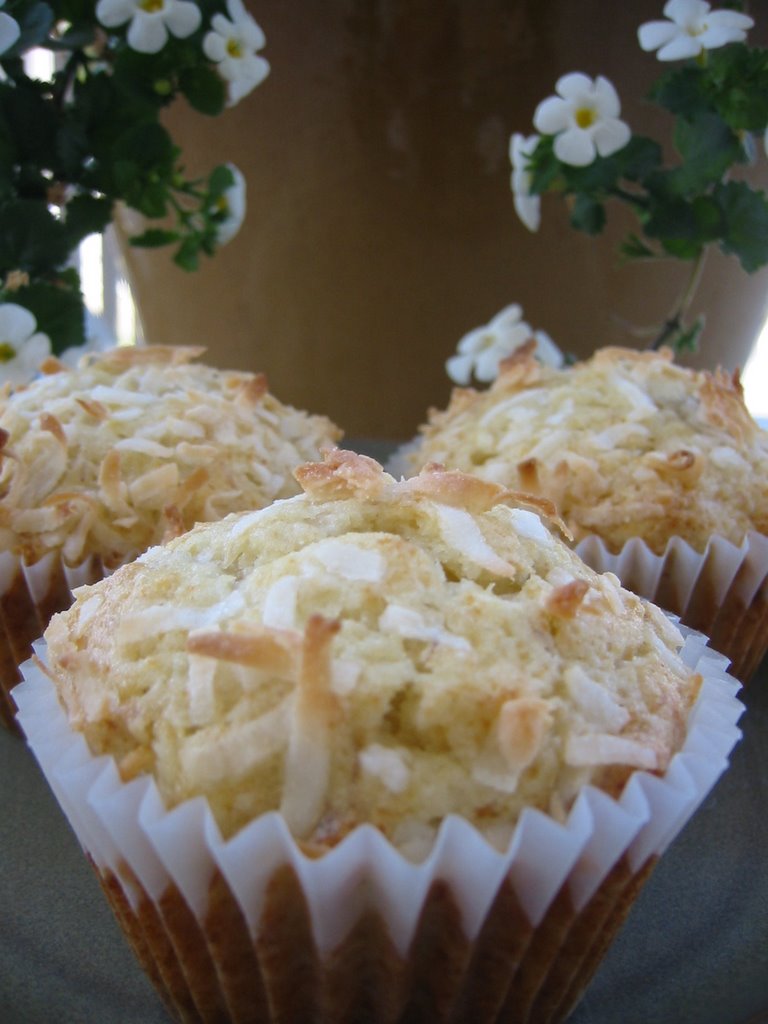 The Canadian Baker: Banana Coconut Muffins