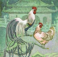 Illustration of a Pheonix breed rooster and hen