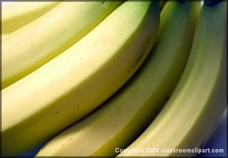image of a bunch of bananas for bugtong