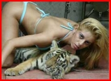 Koppels seks met dieren