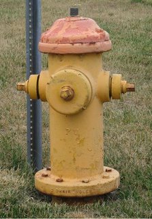 Big fire hydrant