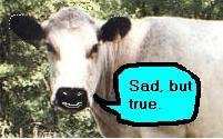 Cow saying 'Sad but true'