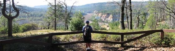 The view of the Malakoff Diggins from the Chute Hill Overlook.