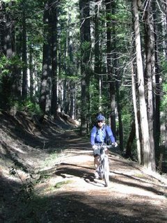 On the Blair Tail next to Humbug Creek.