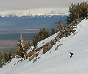 Nancy skiing down