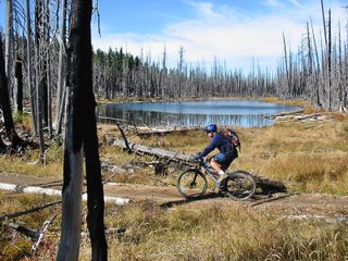 There are small ponds scattered throughout the ride.