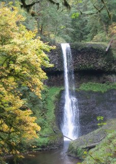 Middle North Falls drops 106'. A short trail goes behind the waterfall to a cave on the opposite side, but the trail was closed.