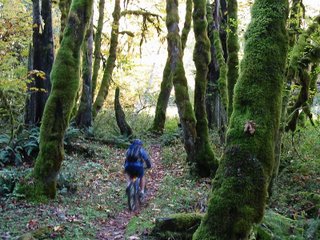 About two miles south of the Lower Falls campground.