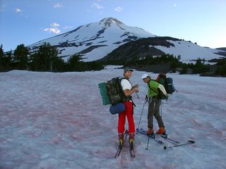 The lower snowfields had more red algae than any of us had ever seen.