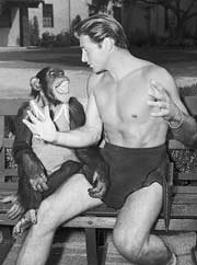 Cheetah  and Johnny Weismuller take a break on the set of Tarzan