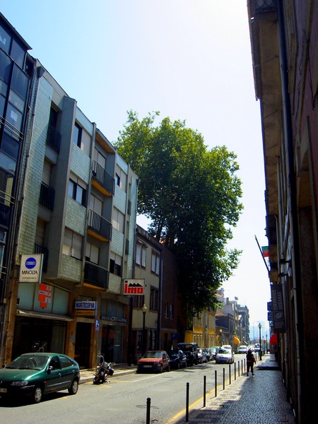 ruas da minha terra - Porto: Rua do ROSÁRIO