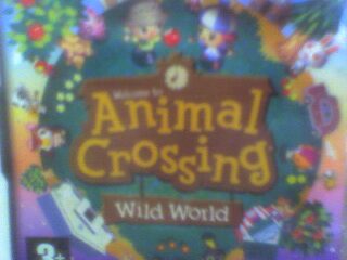 The Ramblings of a Housecat: Animal Crossing Nintendo DS