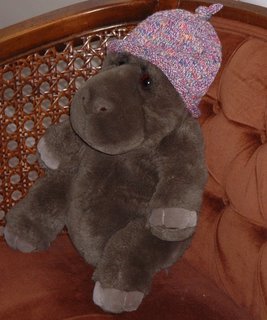 hippo in hat