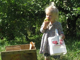 Toddler Sylvia eating an apple