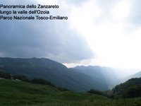 Immagine panoramica della valle dell'Ozola e del suo Zanzaretum