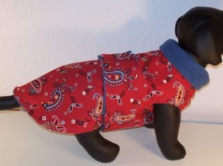Dachshund Clothing WEENIE WRAPS Warm Coats for Chilly Dogs