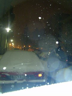 Insieme sotto la neve a Trento, gennaio 2005