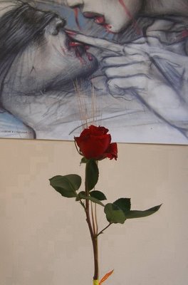 La mia rosa di S.Jordi