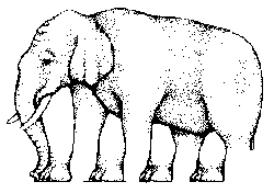 Dancing Elephant Illusion