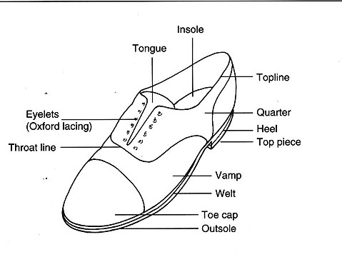 Footwear: Anatomy of the shoe