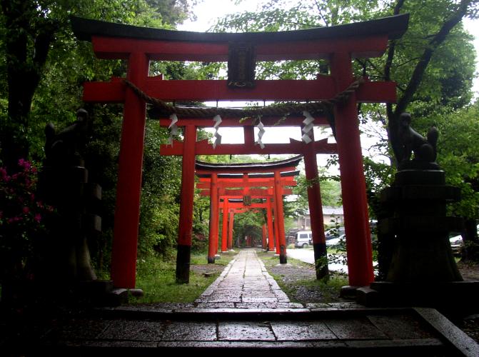 Torii gates at Takenaka Inari Shrine.