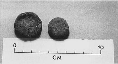 Peyote buttons recovered from a rock shelter in the lower Pecos River region