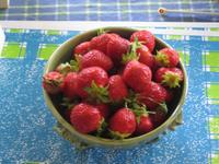 Last of the strawberries