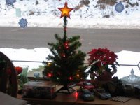 ittle tree