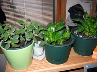 the gang of three