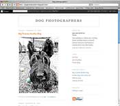dog photo blog